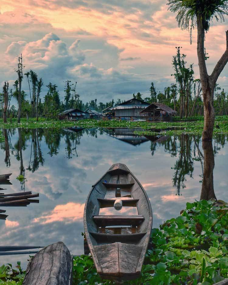 Agusan Marsh Wildlife Sanctuary